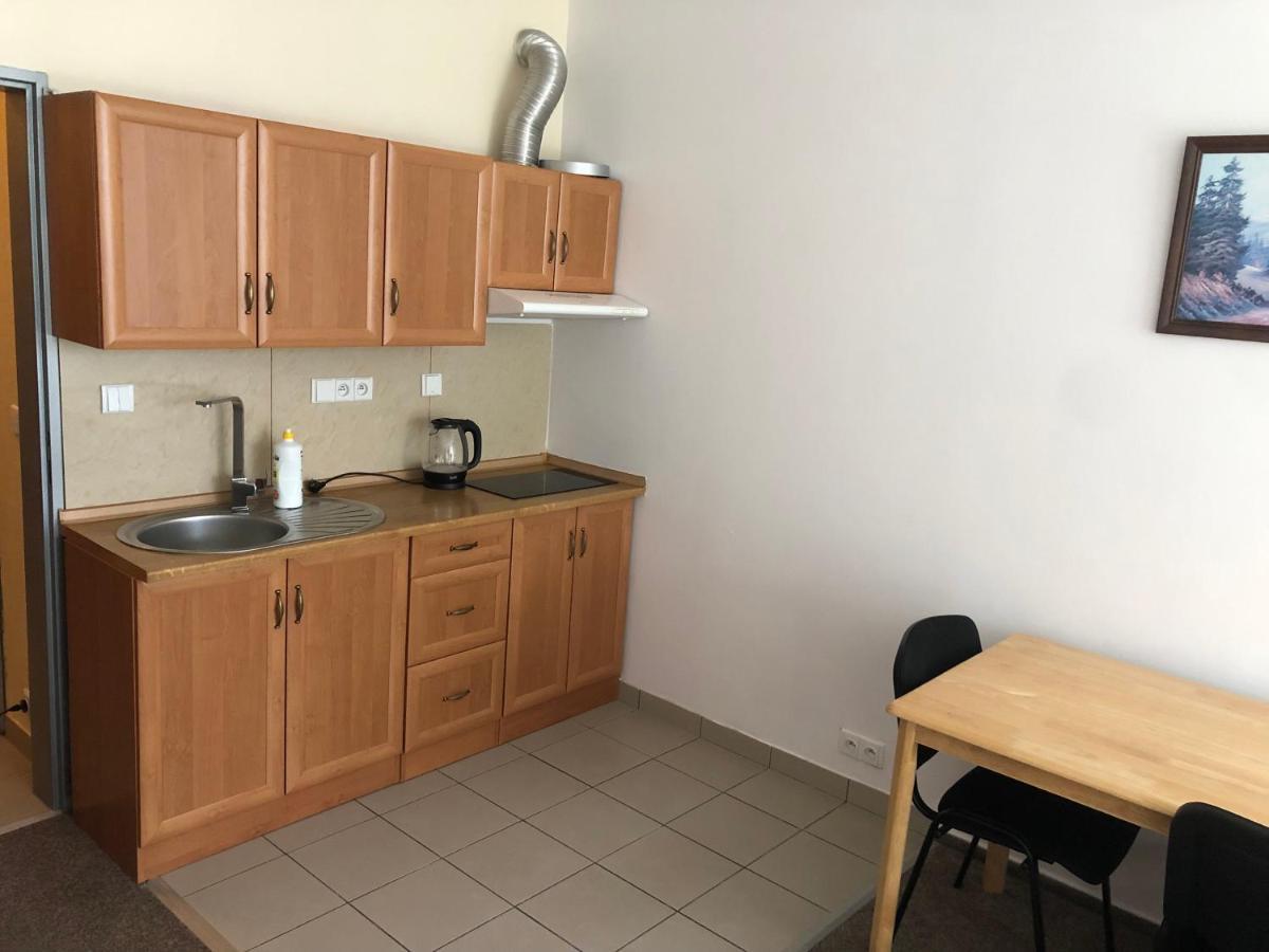 Apartment Certovka Harrachov Eksteriør billede