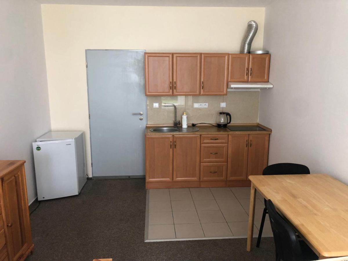 Apartment Certovka Harrachov Eksteriør billede